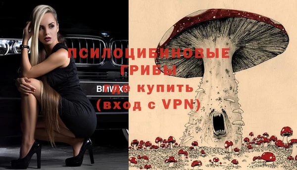 соль ск Осташков