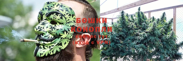 соль ск Осташков