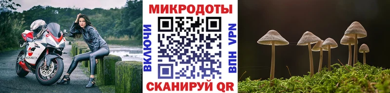 наркотики  Алейск  Псилоцибиновые грибы Psilocybe 
