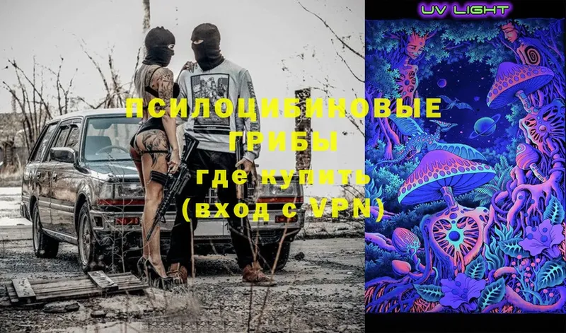 Псилоцибиновые грибы Magic Shrooms  Алейск 