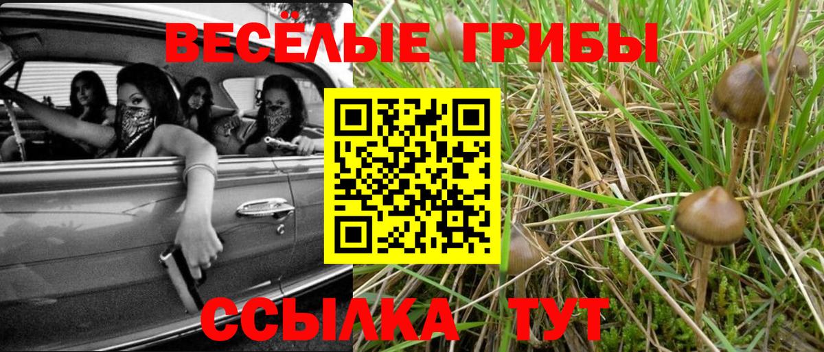Псилоцибиновые грибы GOLDEN TEACHER  Вход с VPN  Алейск 