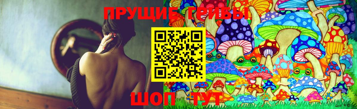 Галлюциногенные грибы Psilocybine cubensis  Вход с VPN  Алейск 