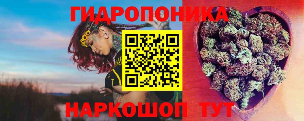 Каннабис семена  Вход с VPN  Марихуана планчик  Канабис Amnesia  Алейск 